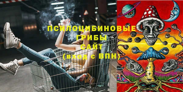 бутират Алексеевка
